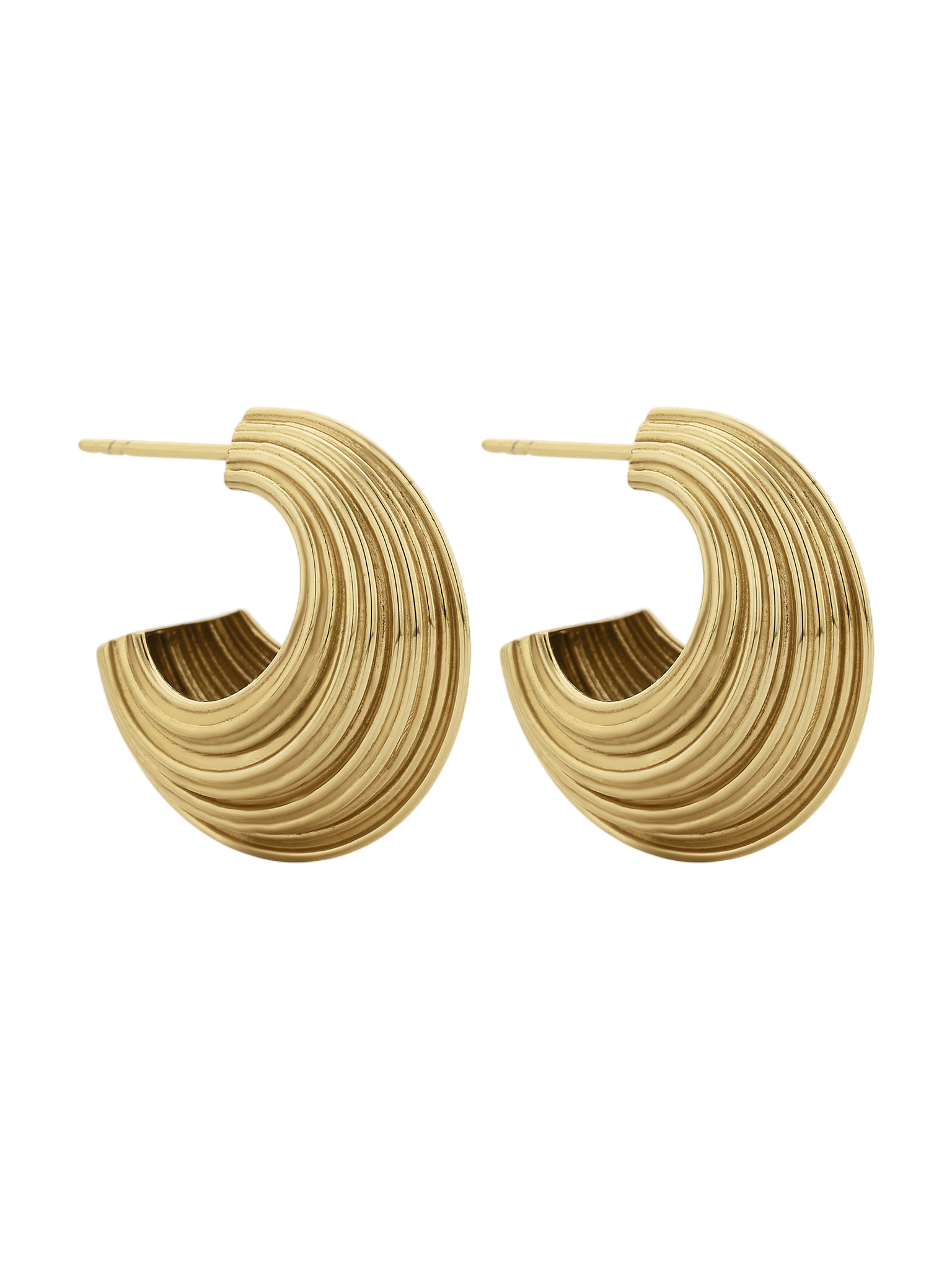 Rae hoop earrings gold